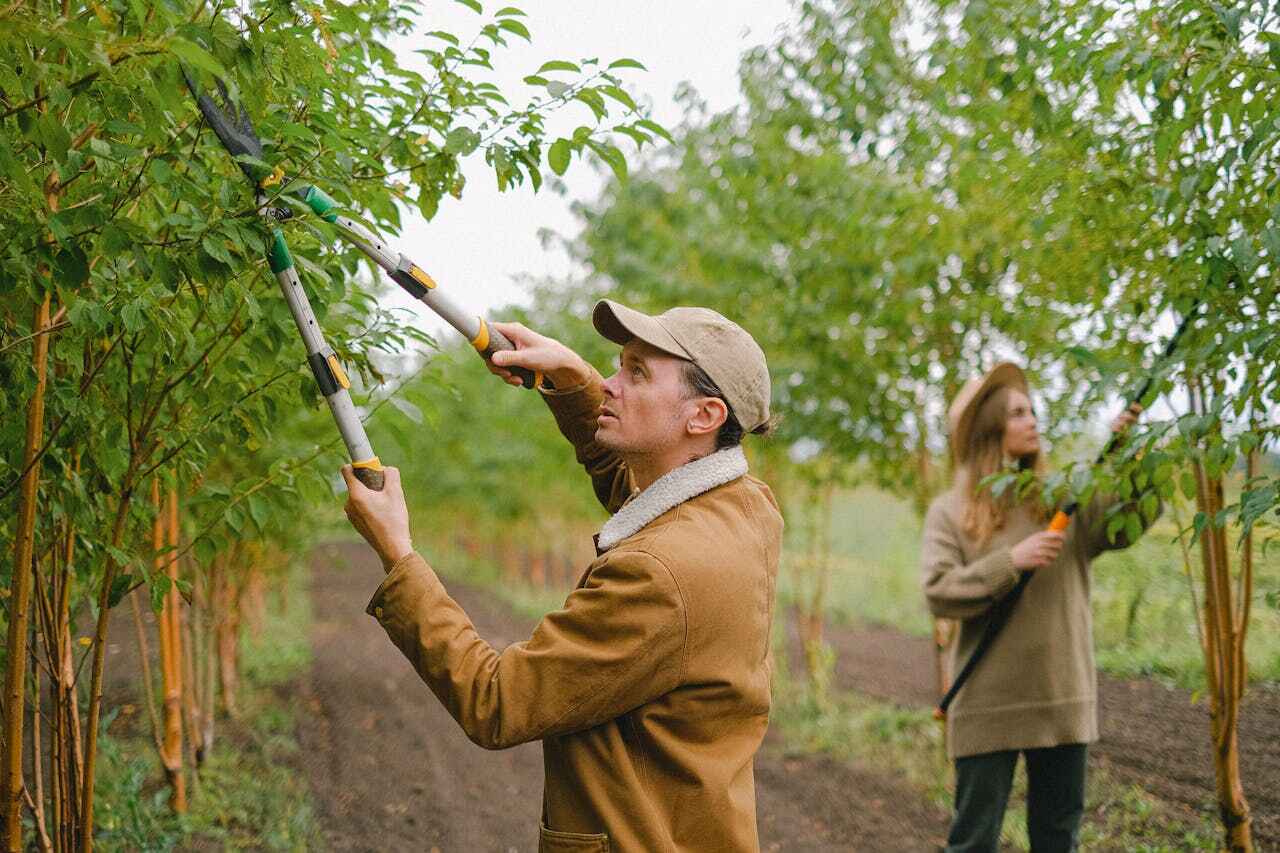 Best Commercial Tree Services  in Bunnell, FL